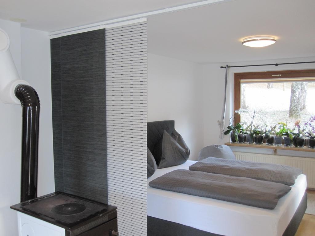 Haus Gandler Apartment