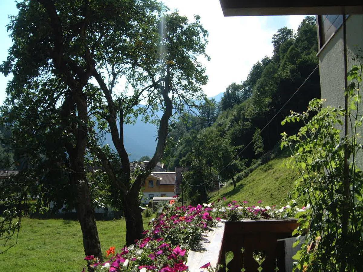 Apartment Haus Gandler Zell am See
