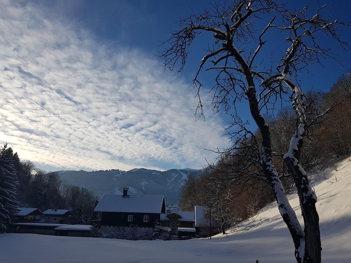 Apartment Haus Gandler Zell am See